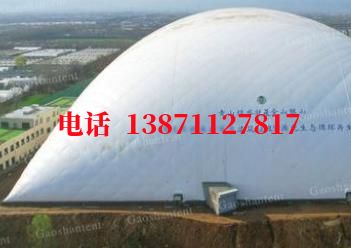 龙圩气膜棚卷帘门,电动门